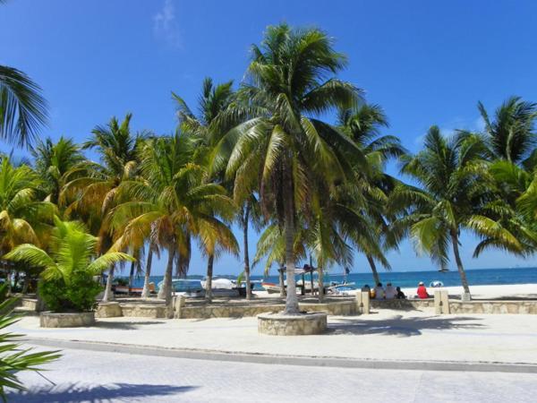 Estrella Del Mar - Condo 101 Isla Mujeres Dış mekan fotoğraf